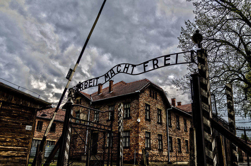 Auschwitz Trip- Concentration Camps